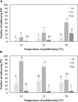 New Approaches to Optimize Somatic Embryogenesis in Maritime Pine